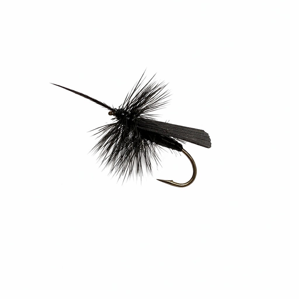 Tent Wing Caddis Black