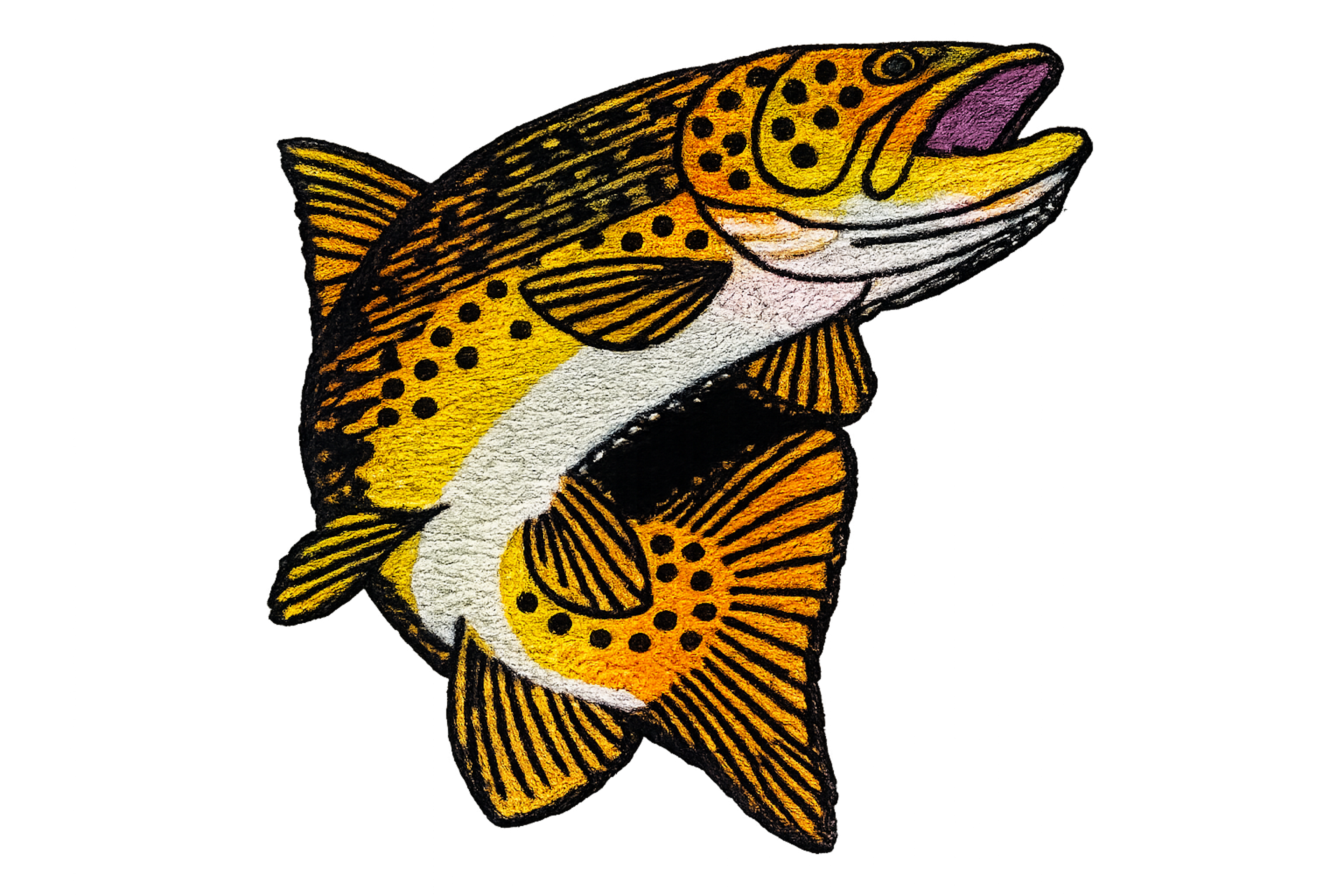 Brown Trout Cuffed Beanie