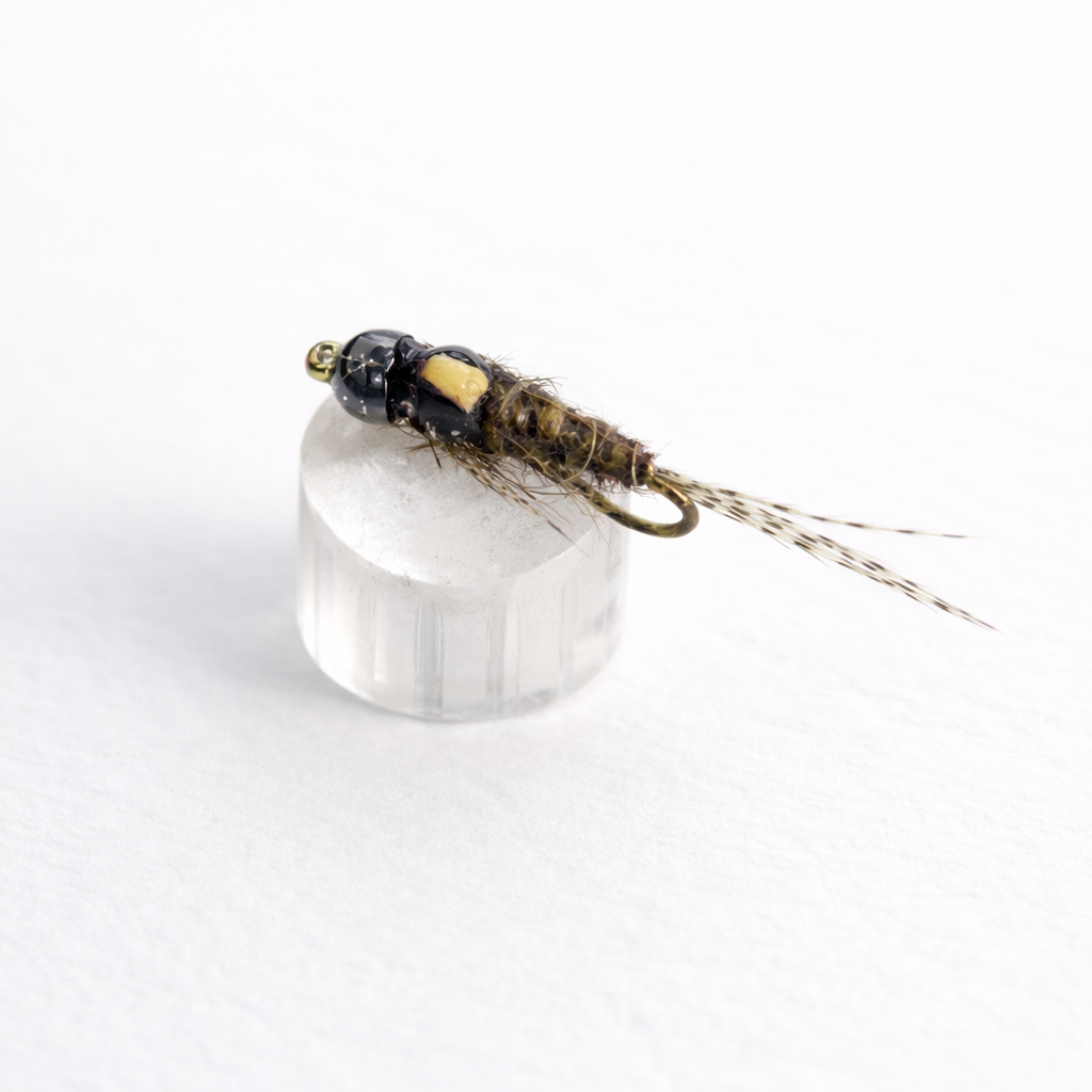 Sulphur Split-back B/H Nymph